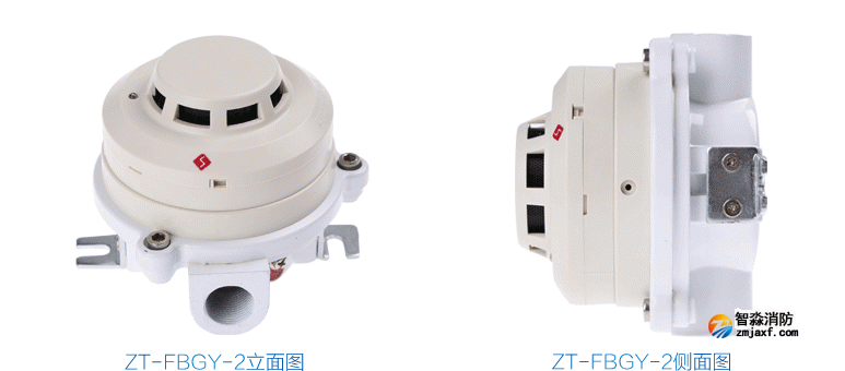 ZT-FBGY-2�����П����(z��i)̽�y(c��)������